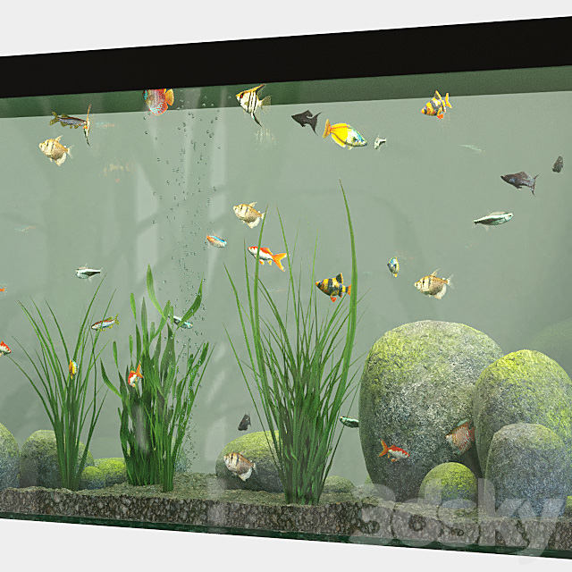 تصویر 1