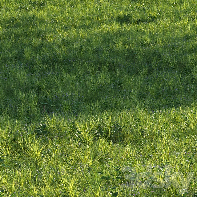 تصویر 4